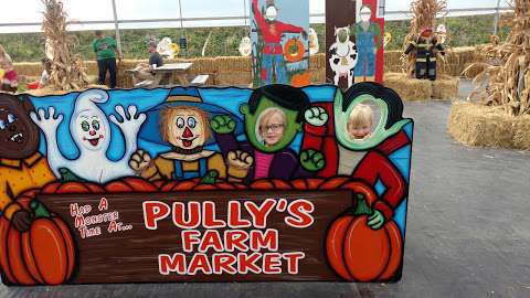 Jobs in Pully's Farm Market - reviews